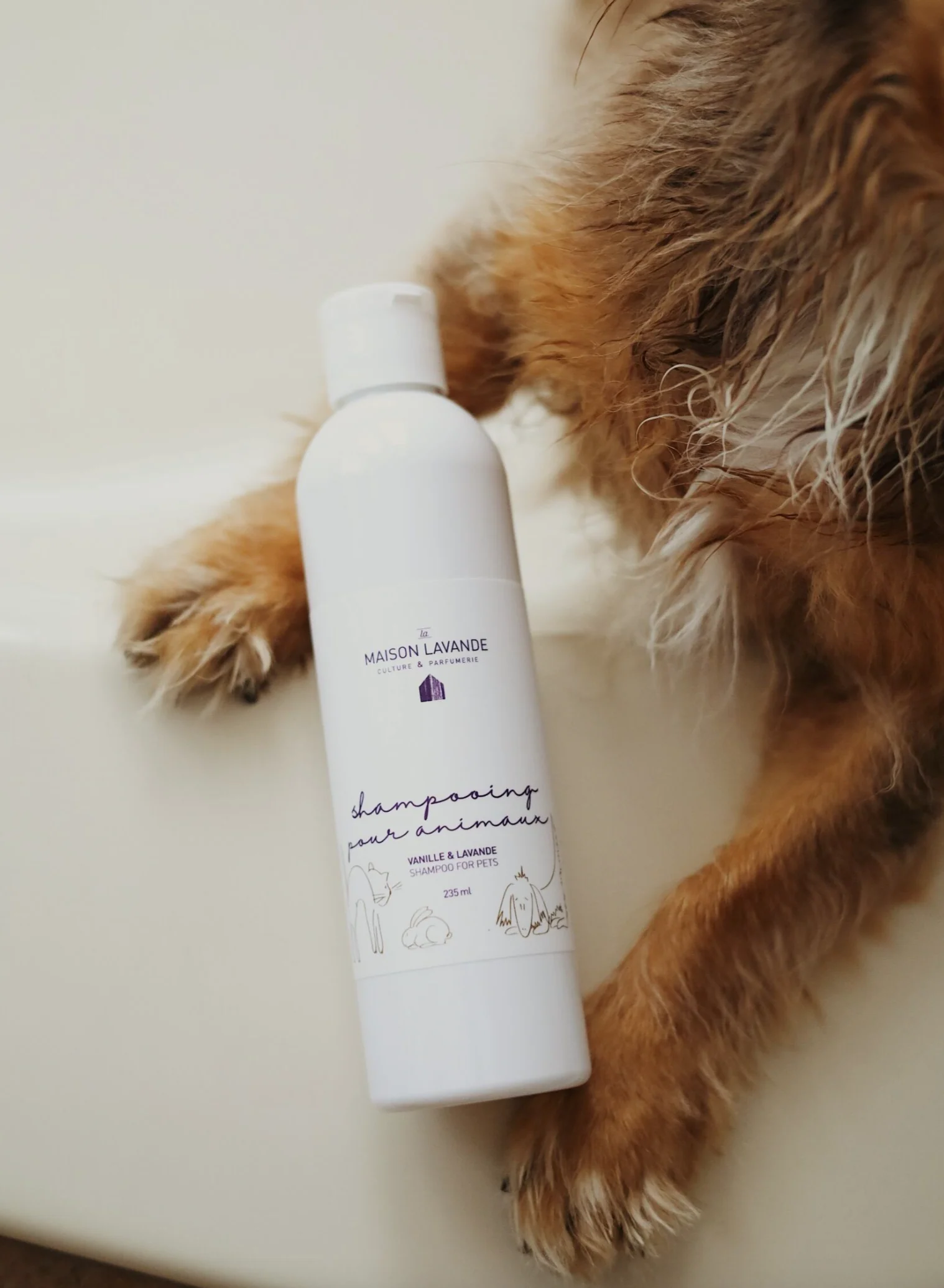Shampooing pour animaux - Vanille & lavande - Image 2