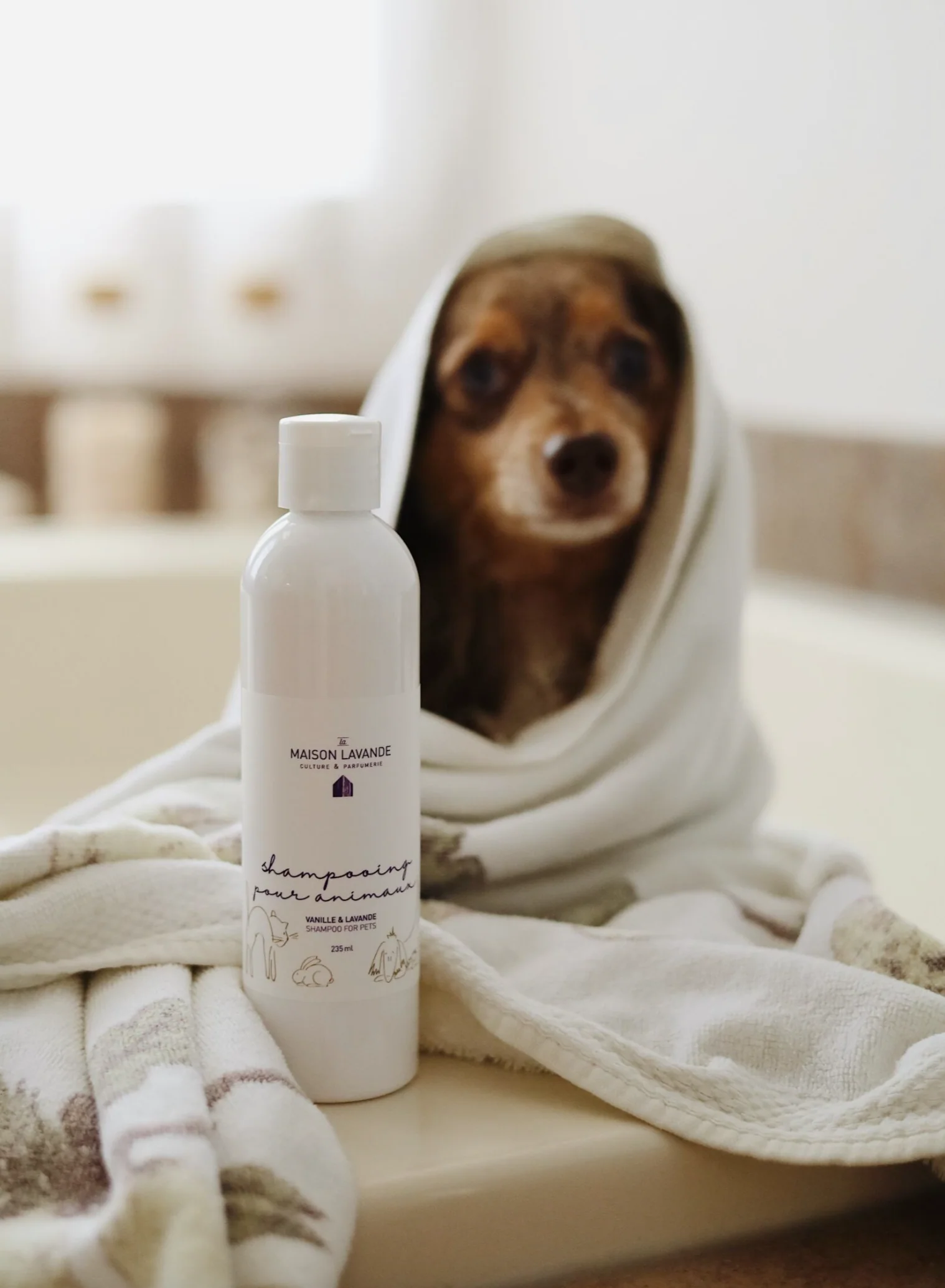 Shampooing pour animaux - Vanille & lavande - Image 3